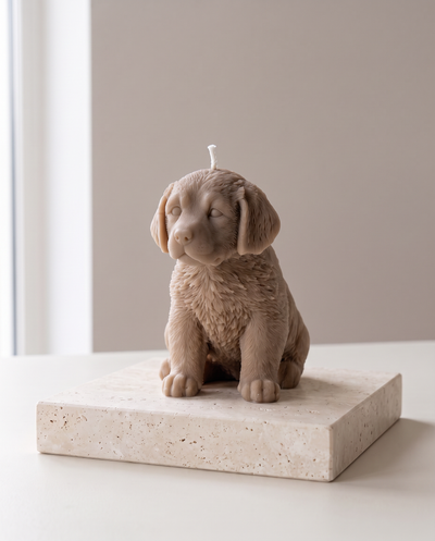Labrador-Kerze in Braun – The House of Nocturne
