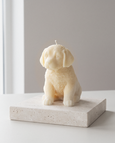 Labrador-Kerze in Weiß – The House of Nocturne
