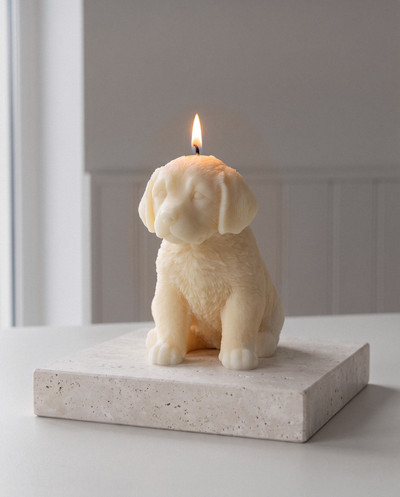 Labrador-Kerze angezündet – The House of Nocturne