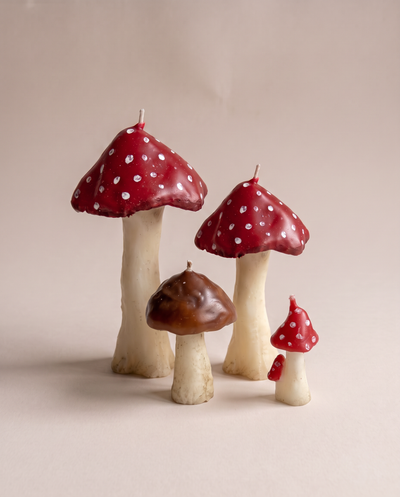 Pilz-Kerzenset: vier Pilzkerzen in verschiedenen Größen – The House of Nocturne