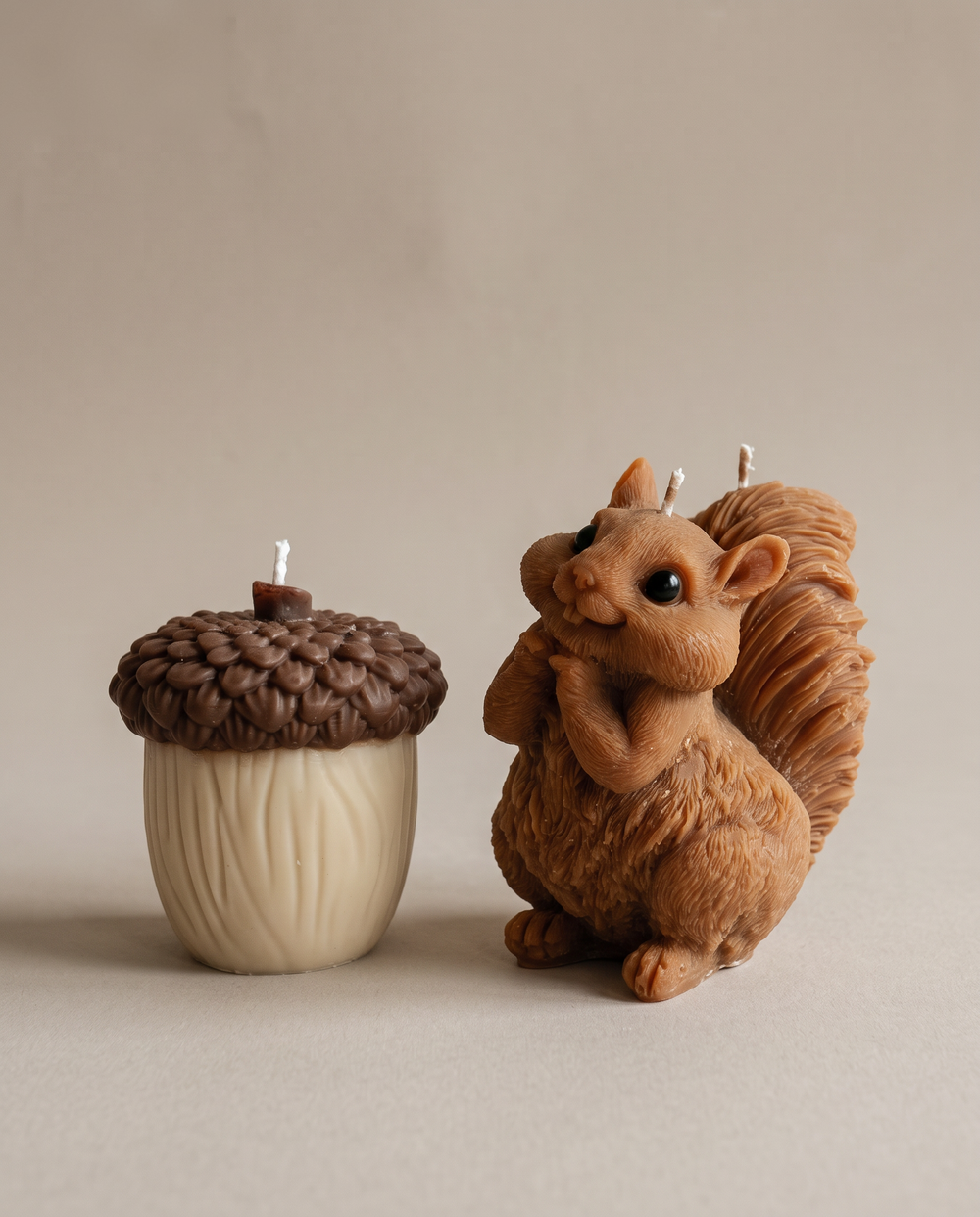 Eichhörnchen & Eichel